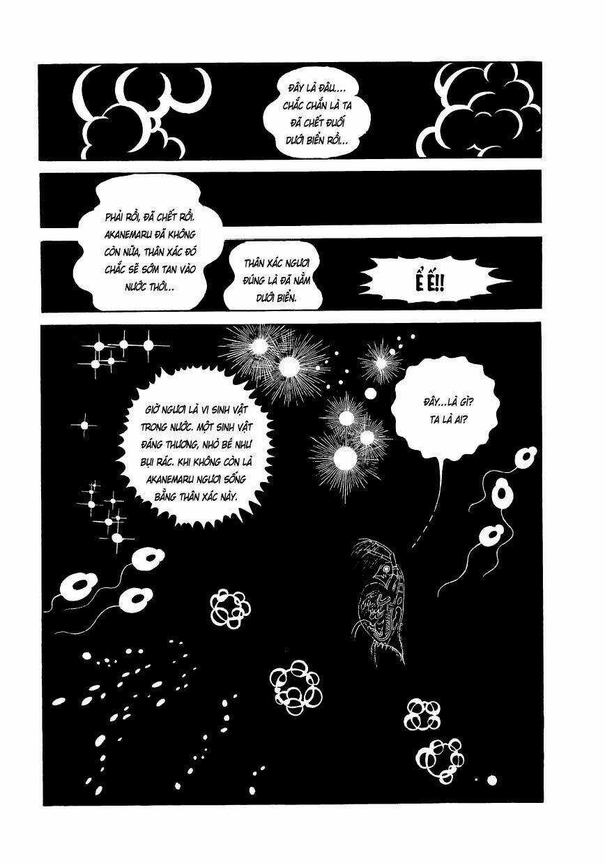 Chim Lửa Chapter 48 trang 49