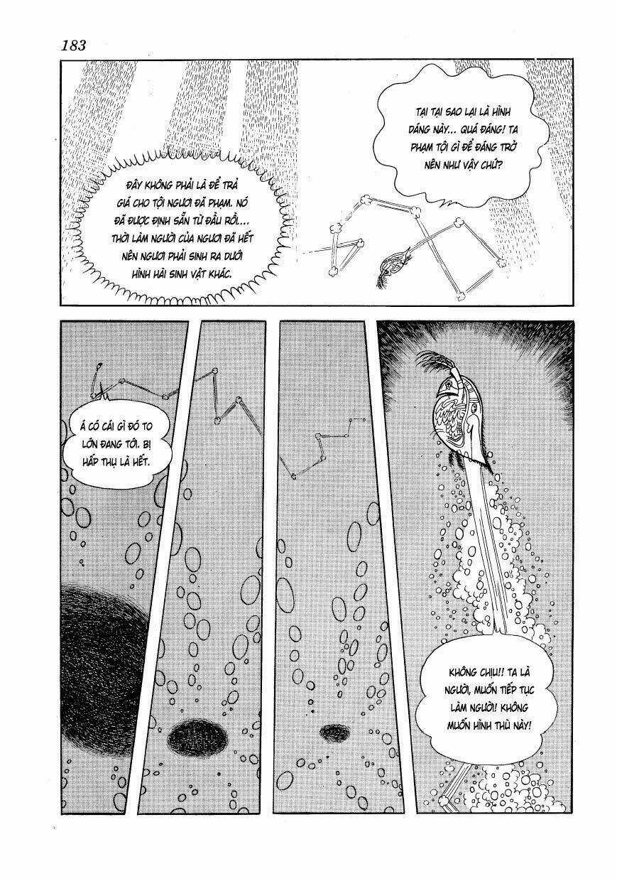 Chim Lửa Chapter 48 trang 50