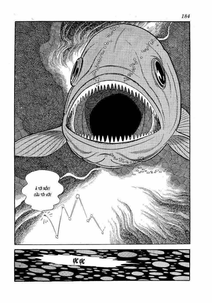 Chim Lửa Chapter 48 trang 51