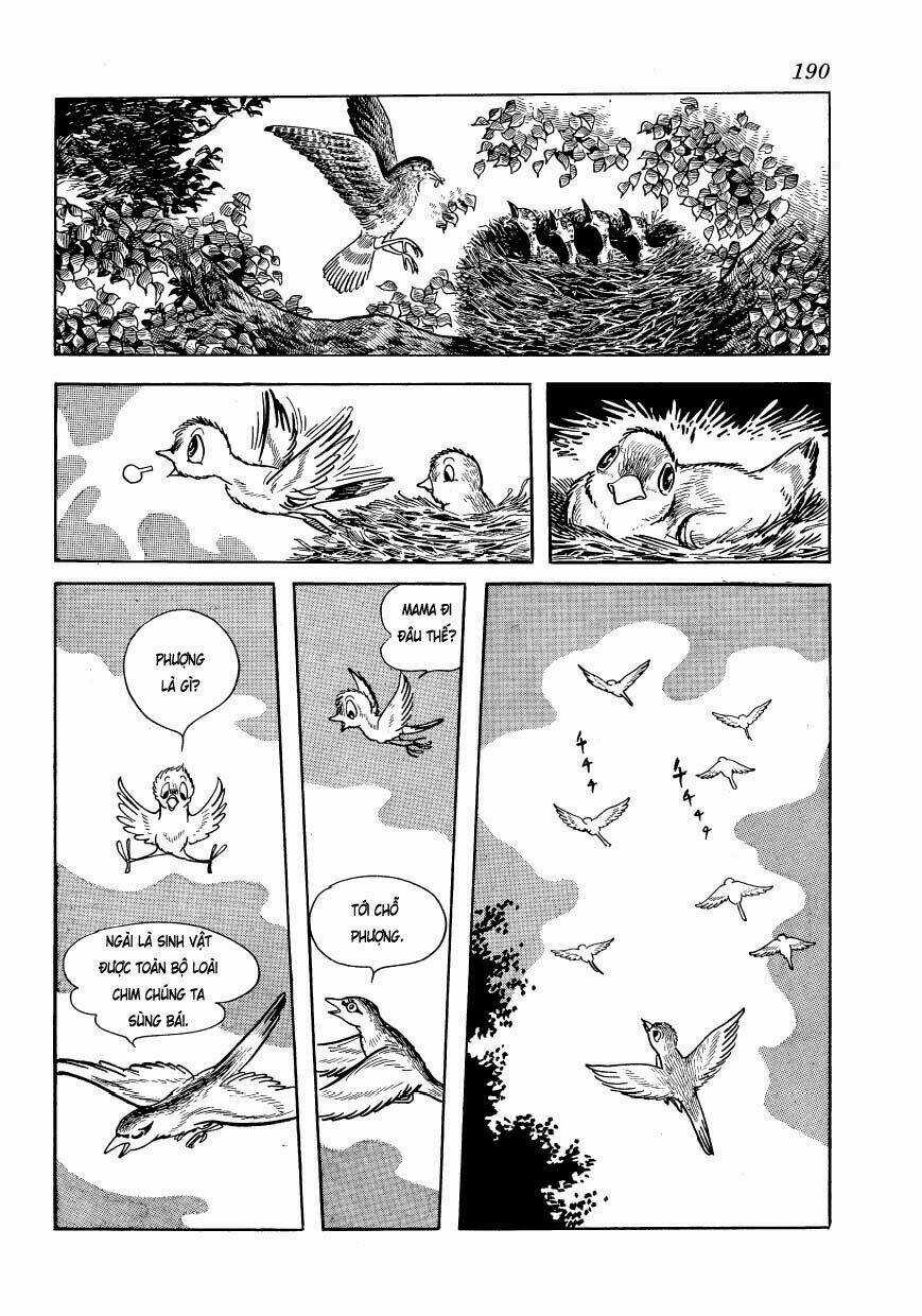 Chim Lửa Chapter 48 trang 57