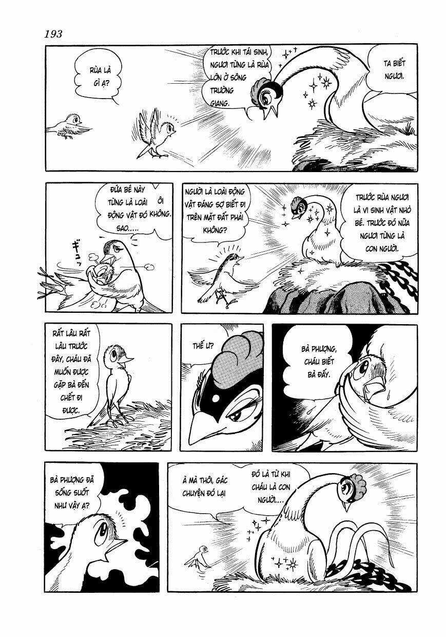 Chim Lửa Chapter 48 trang 60