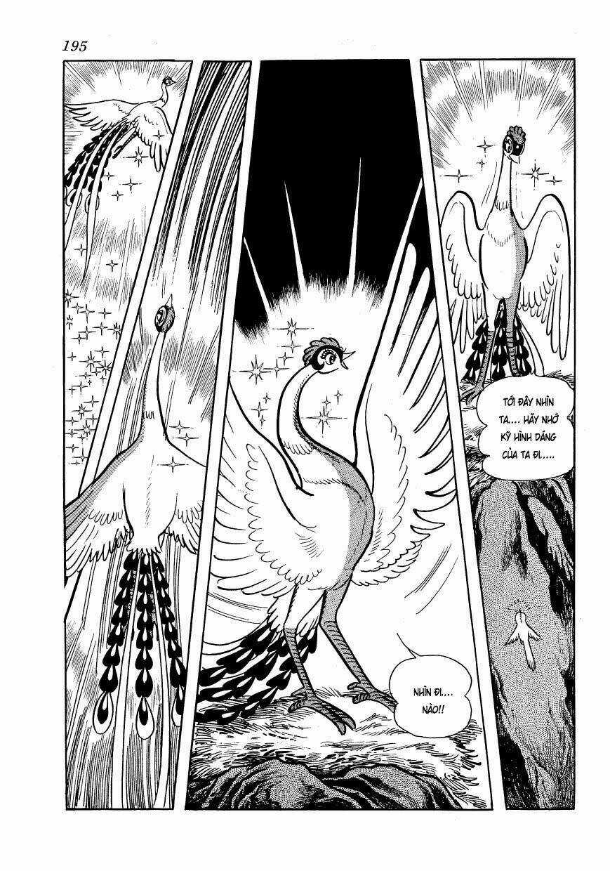 Chim Lửa Chapter 48 trang 62