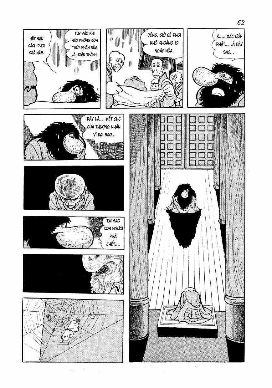 Chim Lửa Chapter 50 trang 24