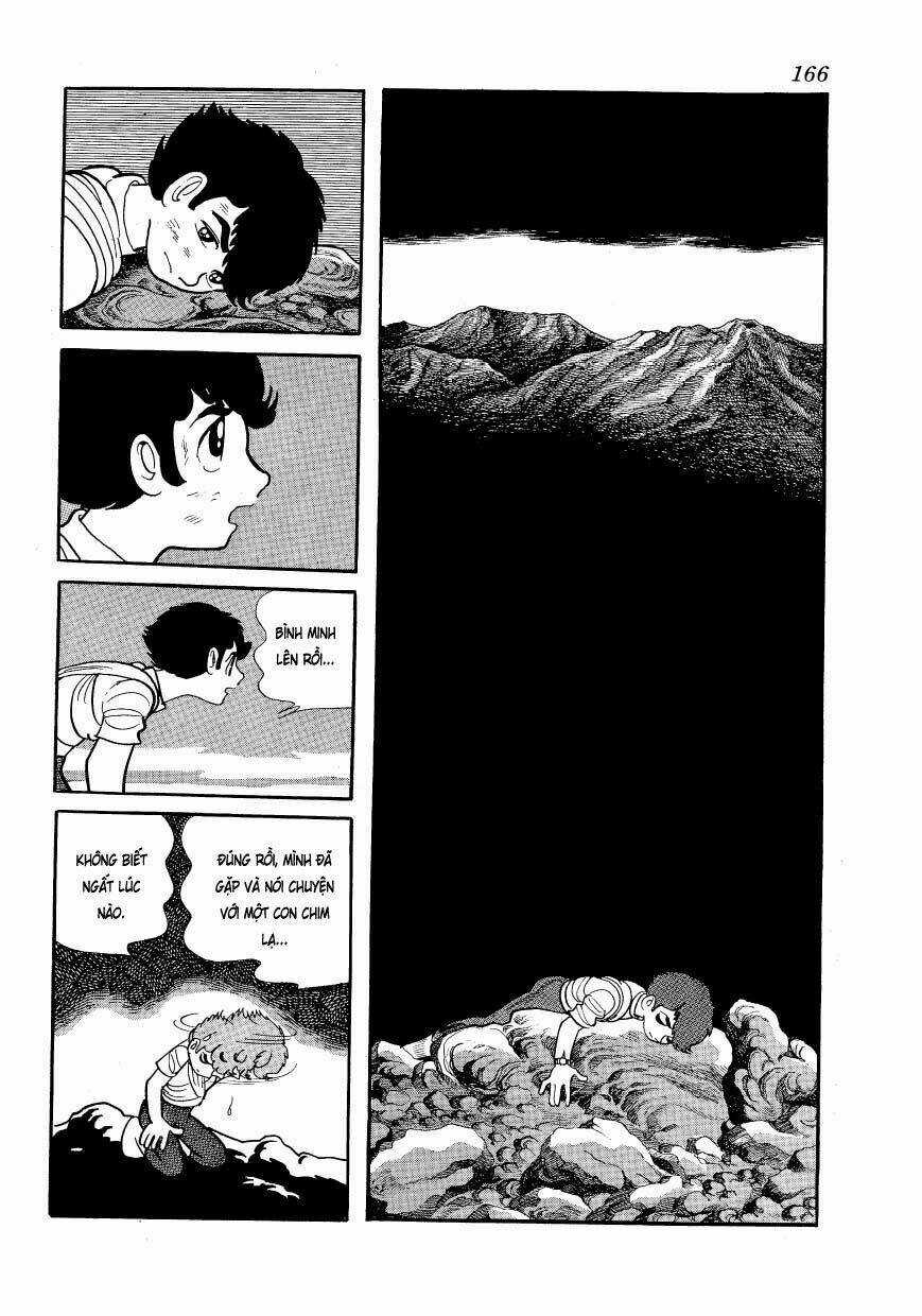 Chim Lửa Chapter 58 trang 11