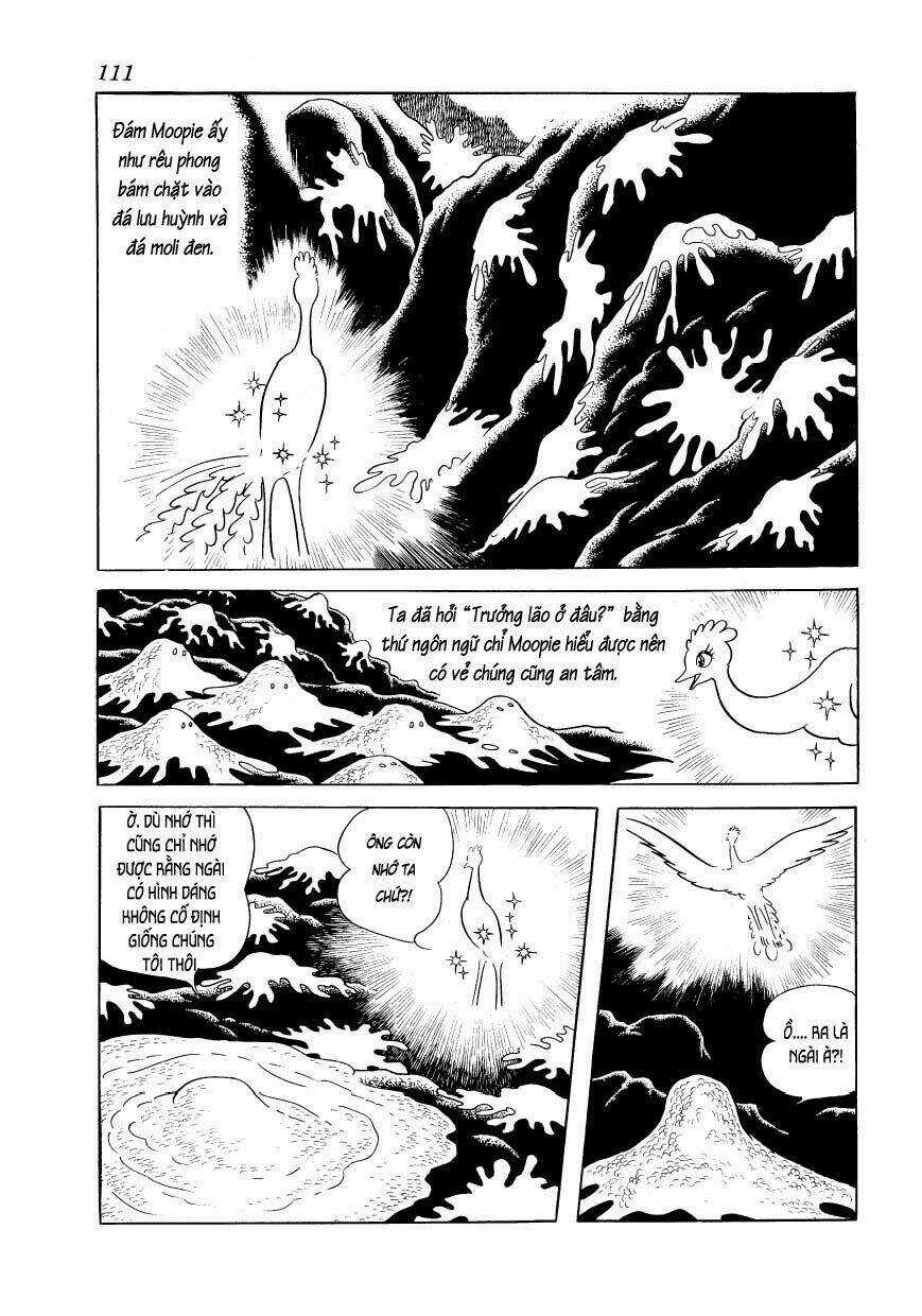 Chim Lửa Chapter 67 trang 16