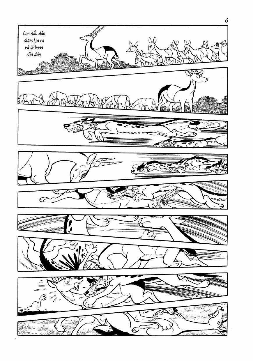 Chim Lửa Chapter 77 trang 8