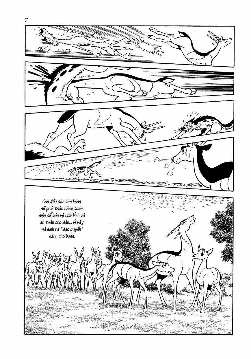 Chim Lửa Chapter 77 trang 9