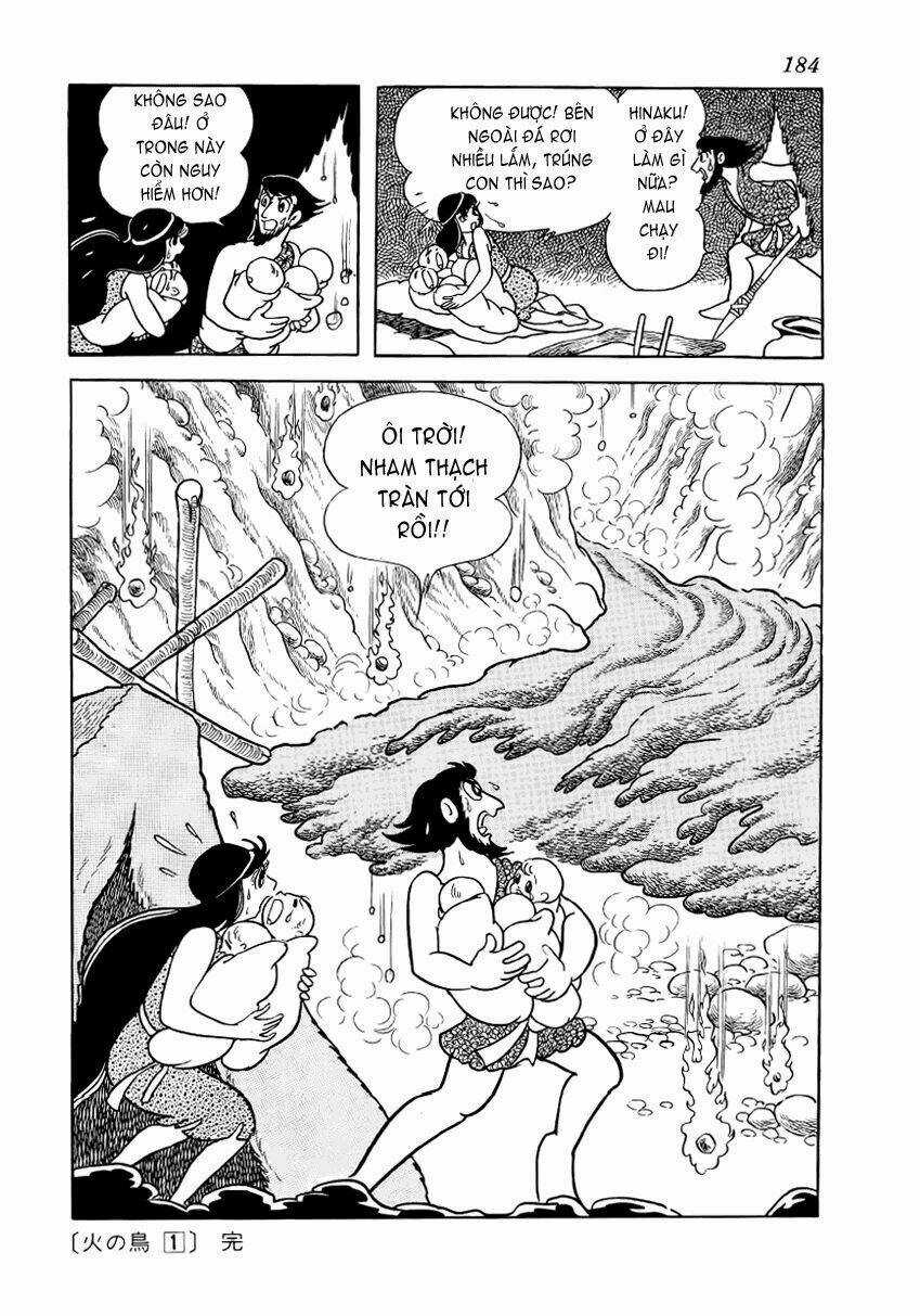 Chim Lửa Chapter 8 trang 29