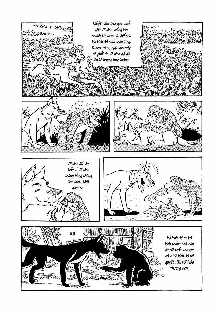 Chim Lửa Chapter 80 trang 18