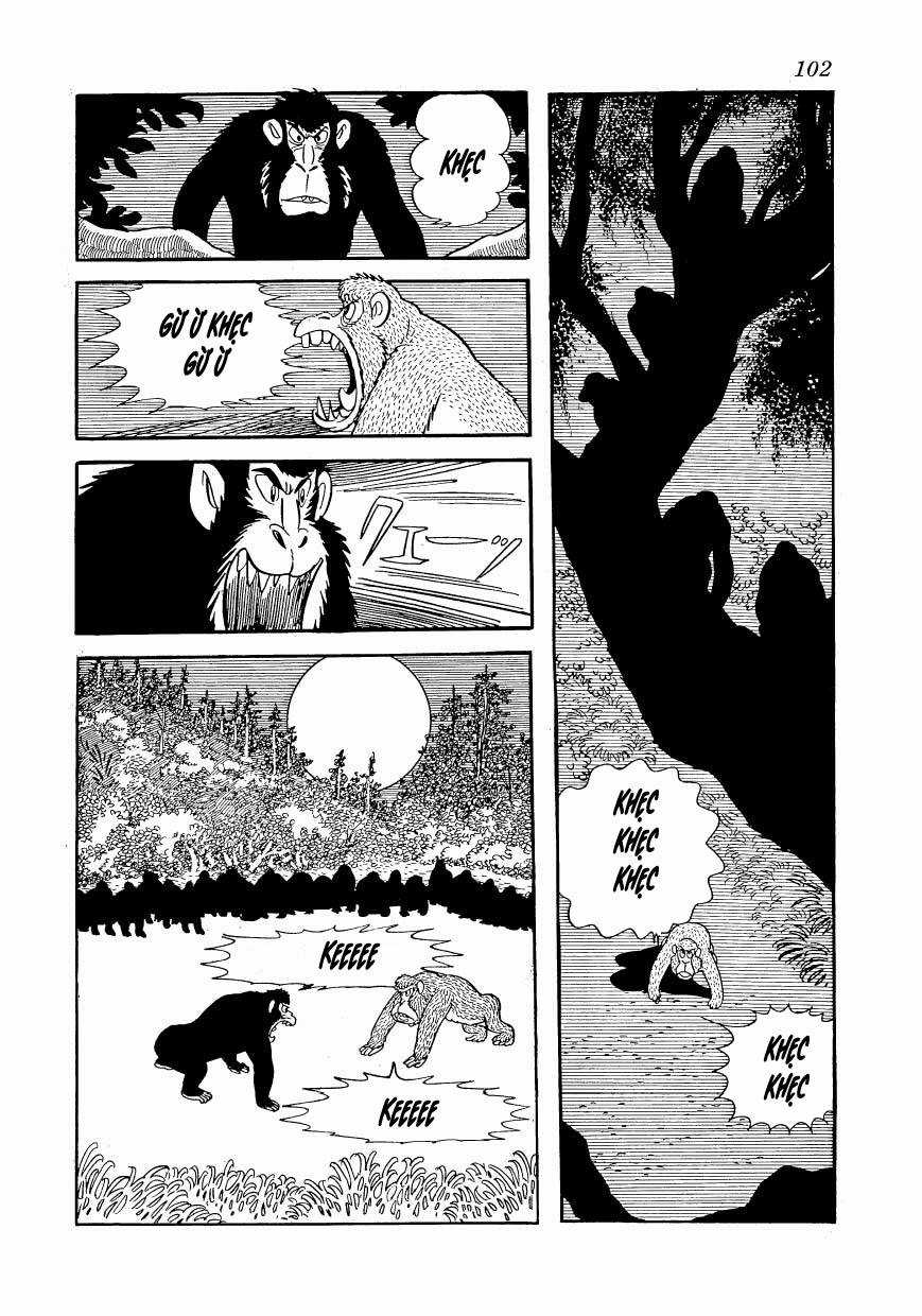 Chim Lửa Chapter 80 trang 19