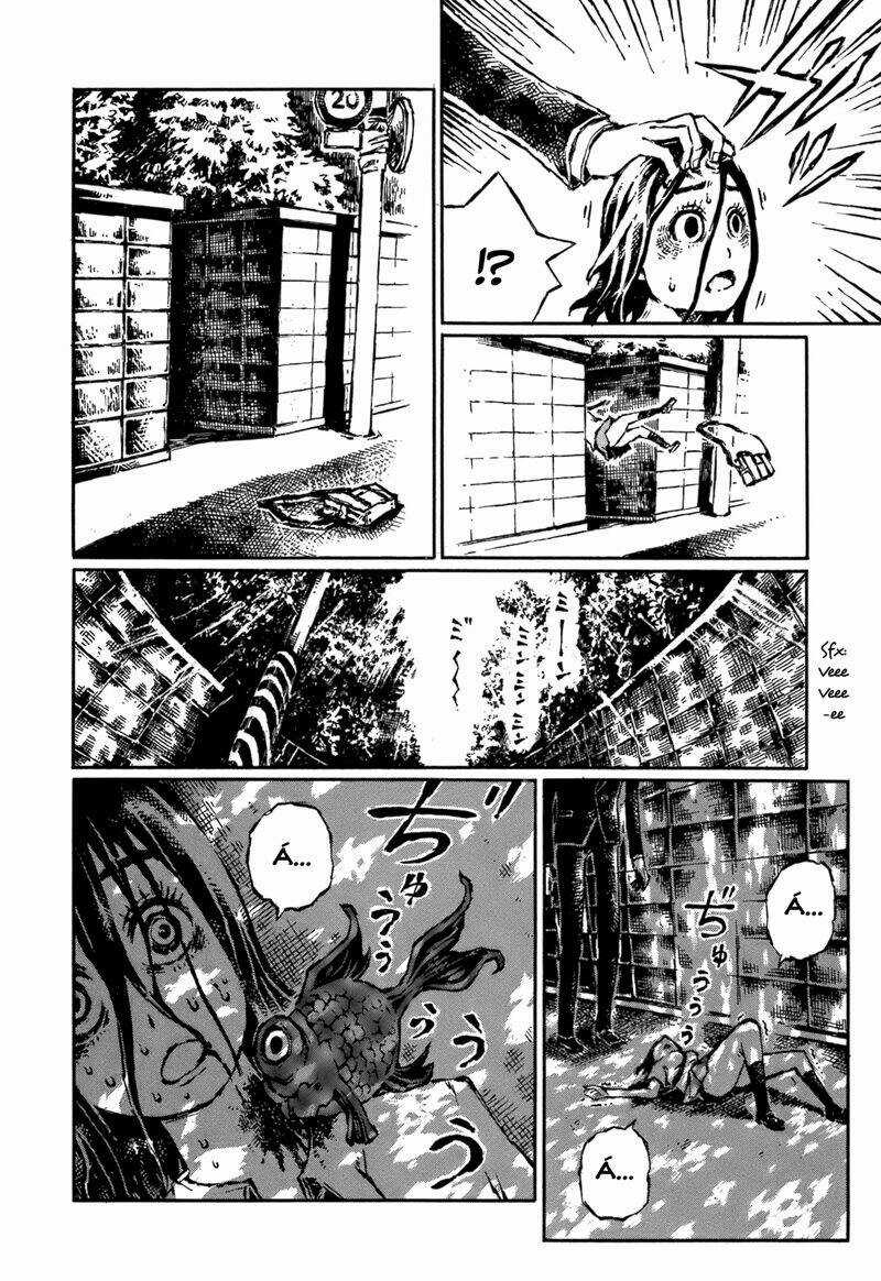 Chimoguri Ringo to Kingyobachi Otoko Chapter 1 trang 7