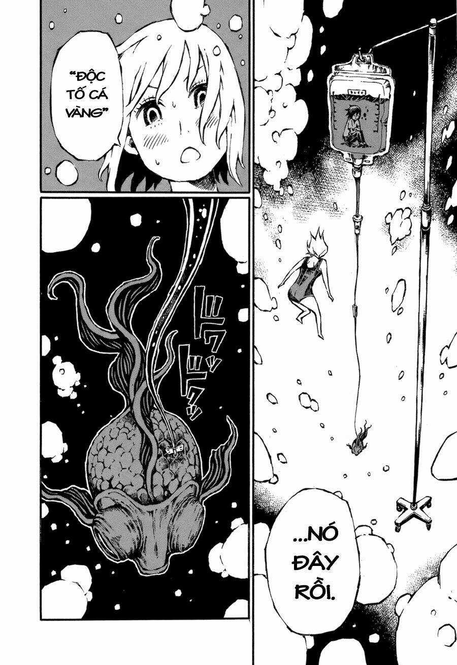 Chimoguri Ringo to Kingyobachi Otoko Chapter 2 trang 12