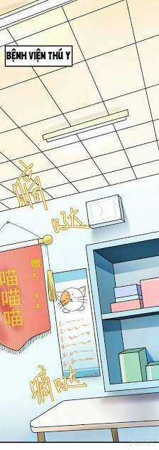 Chinh Phục Bạn Trai Sao Chổi Chapter 2 trang 20