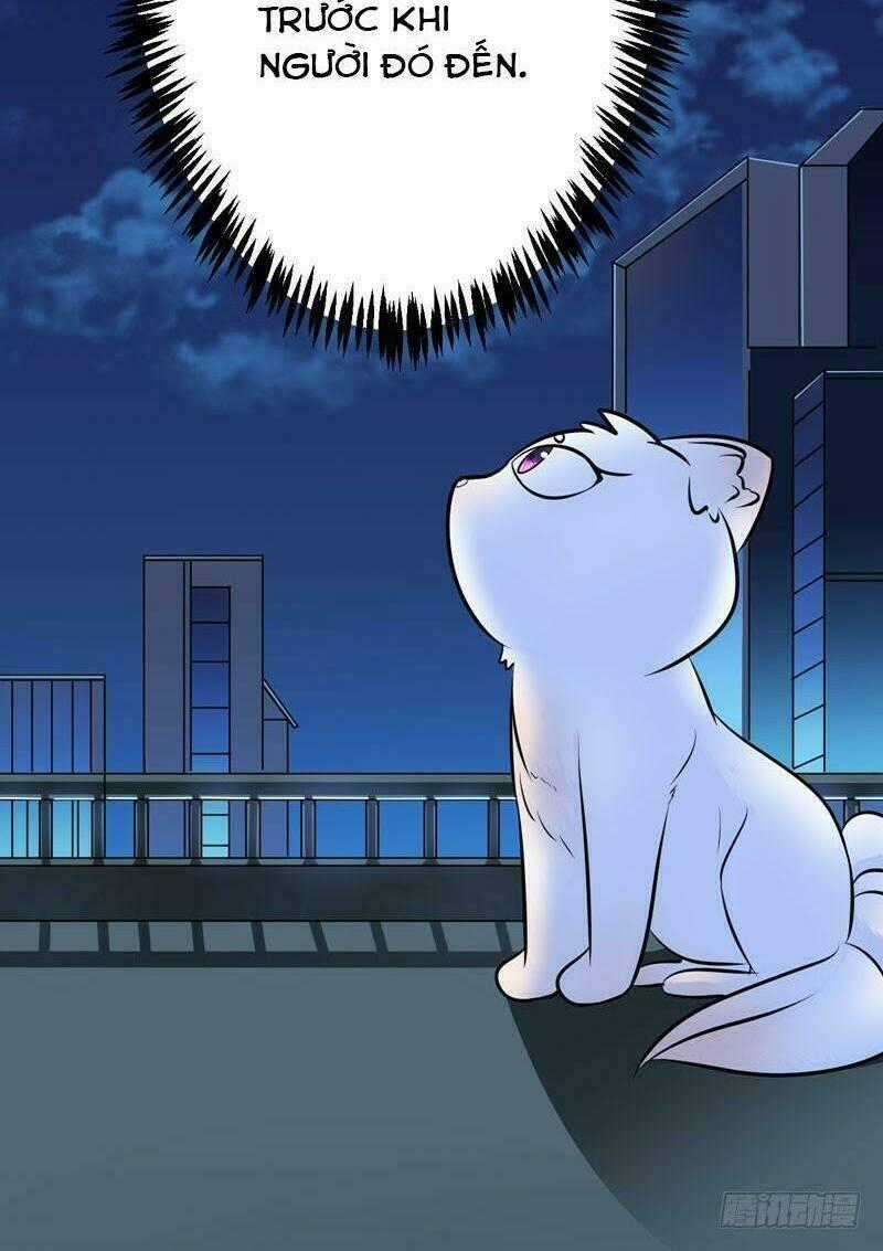 Chinh Phục Bạn Trai Sao Chổi Chapter 3 trang 44