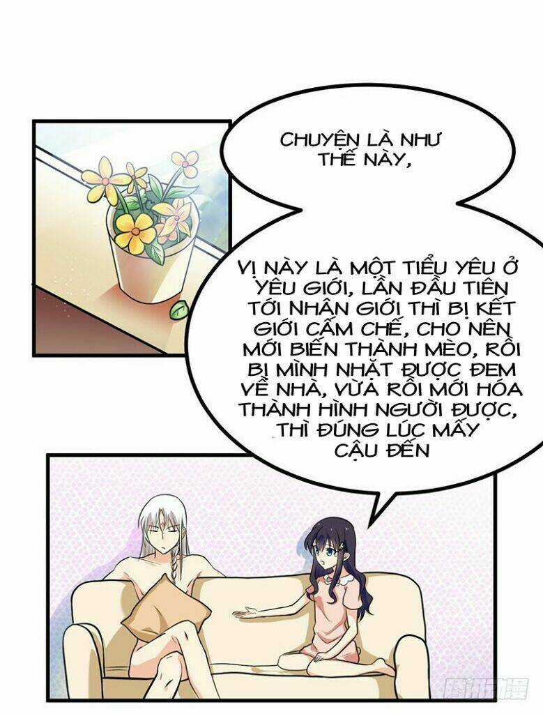 Chinh Phục Bạn Trai Sao Chổi Chapter 5 trang 2