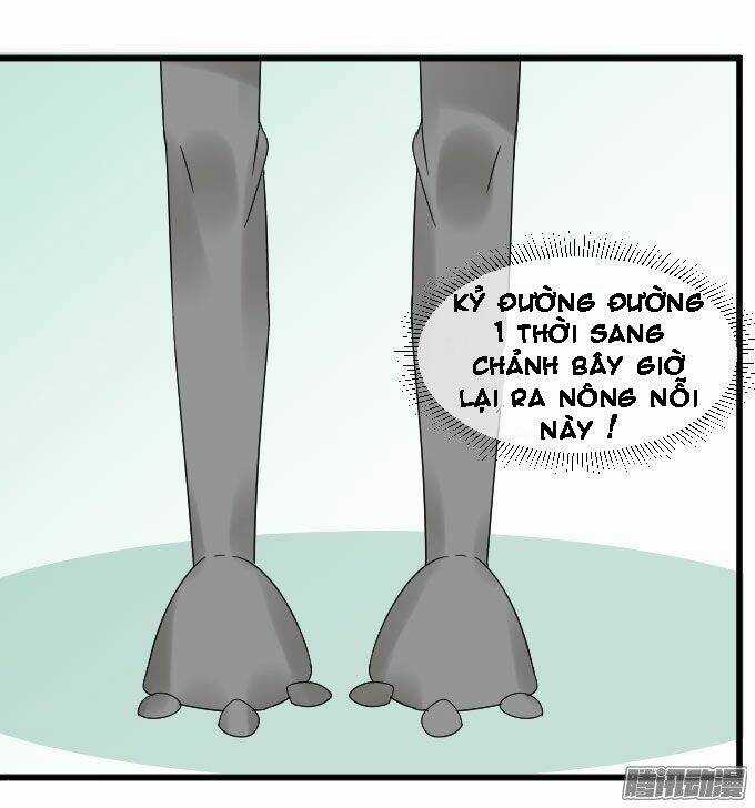 Cho Anh Gần Em Chapter 14 trang 11