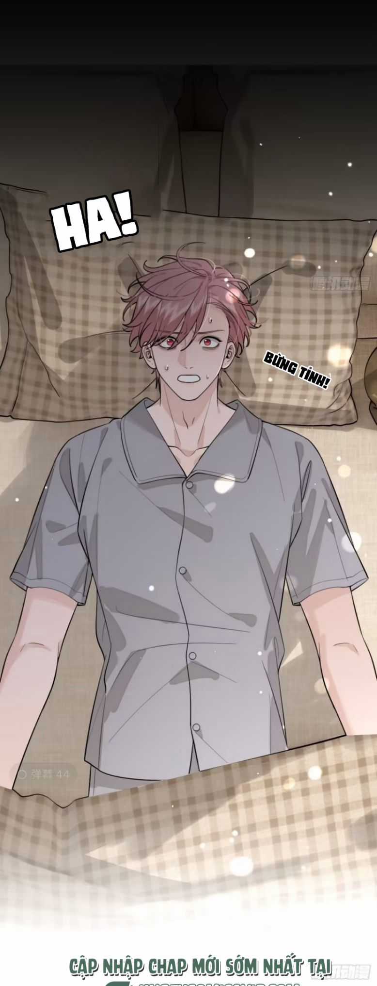 Chó Lớn Bắt Nạt Chủ Chapter 45 trang 13