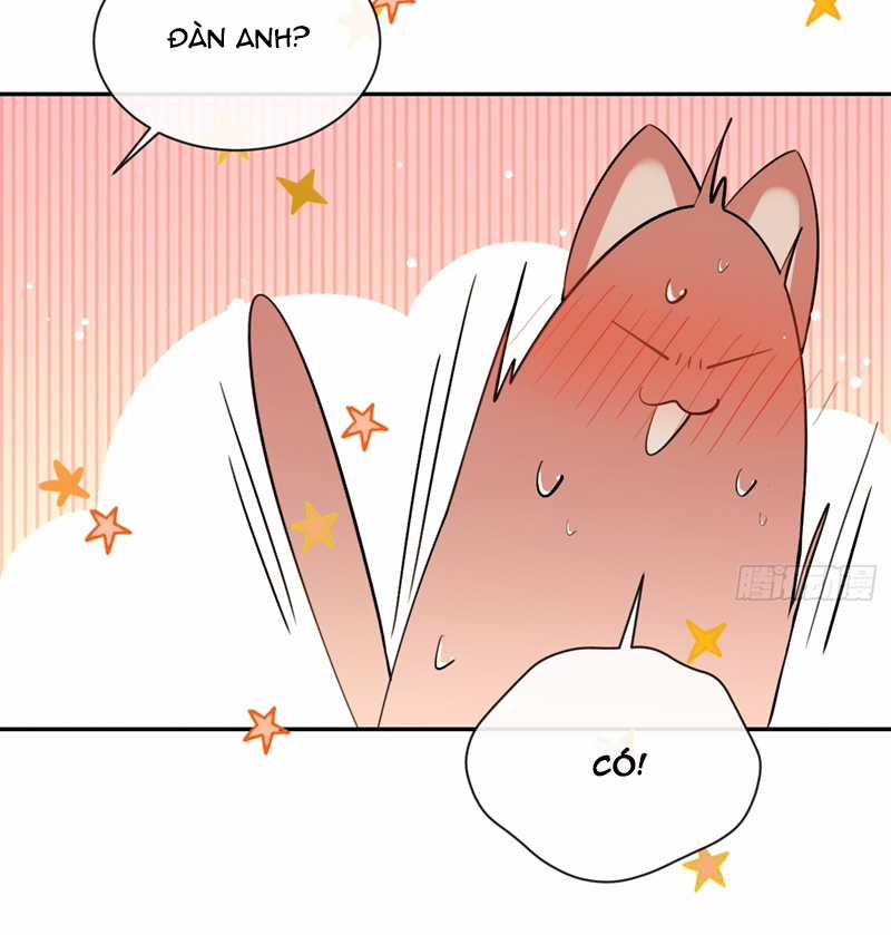 Chó Lớn Bắt Nạt Chủ Chapter 72 trang 12