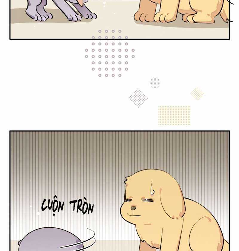 Chó Lớn Bắt Nạt Chủ Chapter 75 trang 39