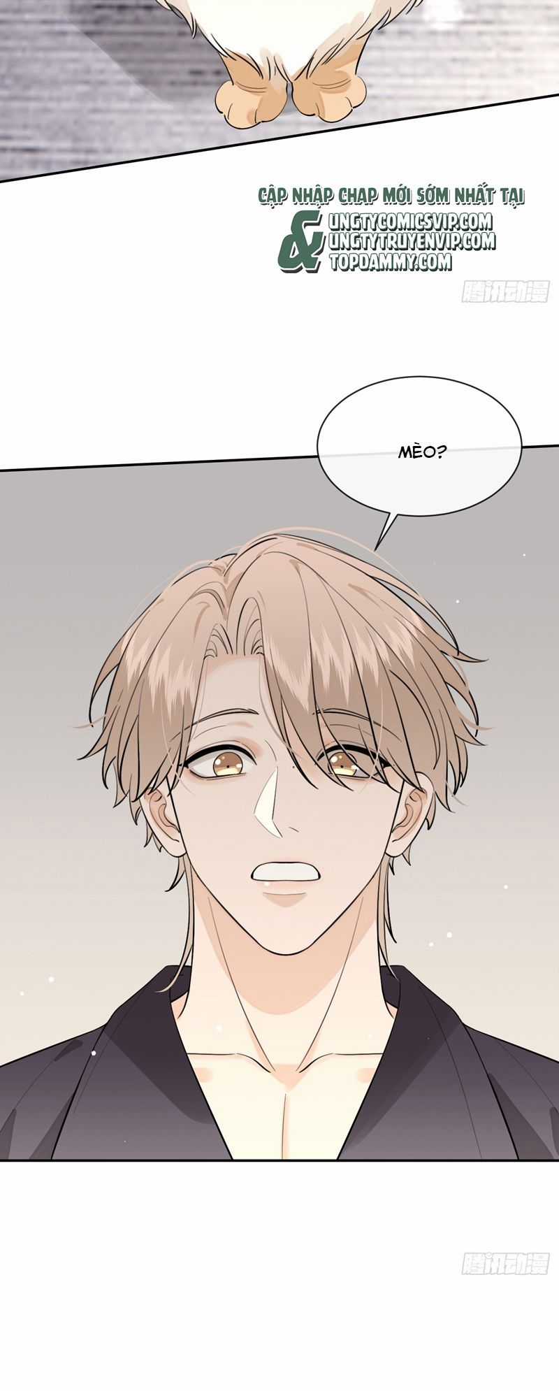 Chó Lớn Bắt Nạt Chủ Chapter 81 trang 10