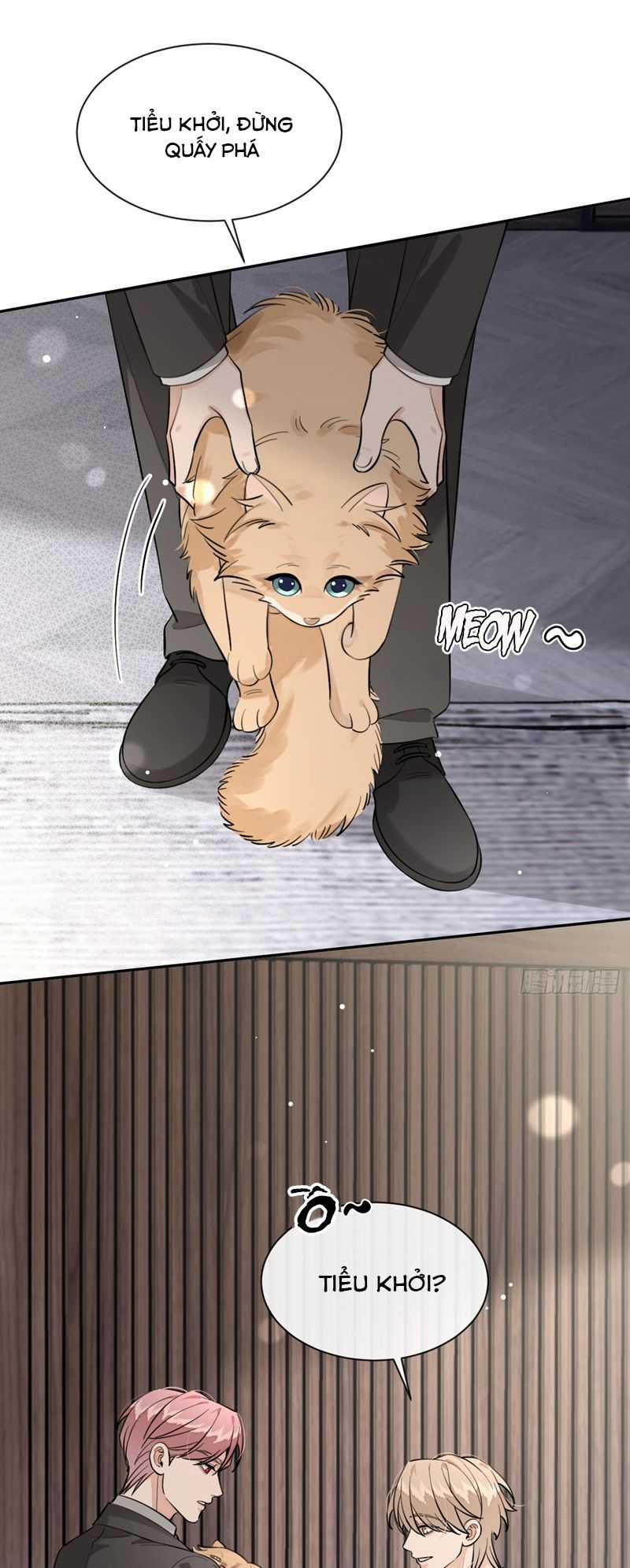 Chó Lớn Bắt Nạt Chủ Chapter 81 trang 11