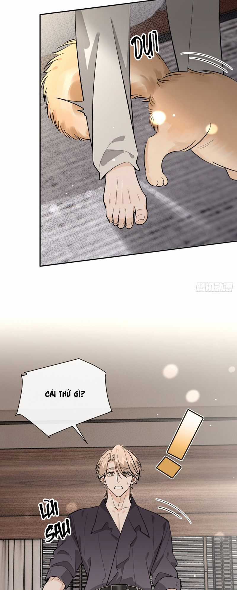 Chó Lớn Bắt Nạt Chủ Chapter 81 trang 8