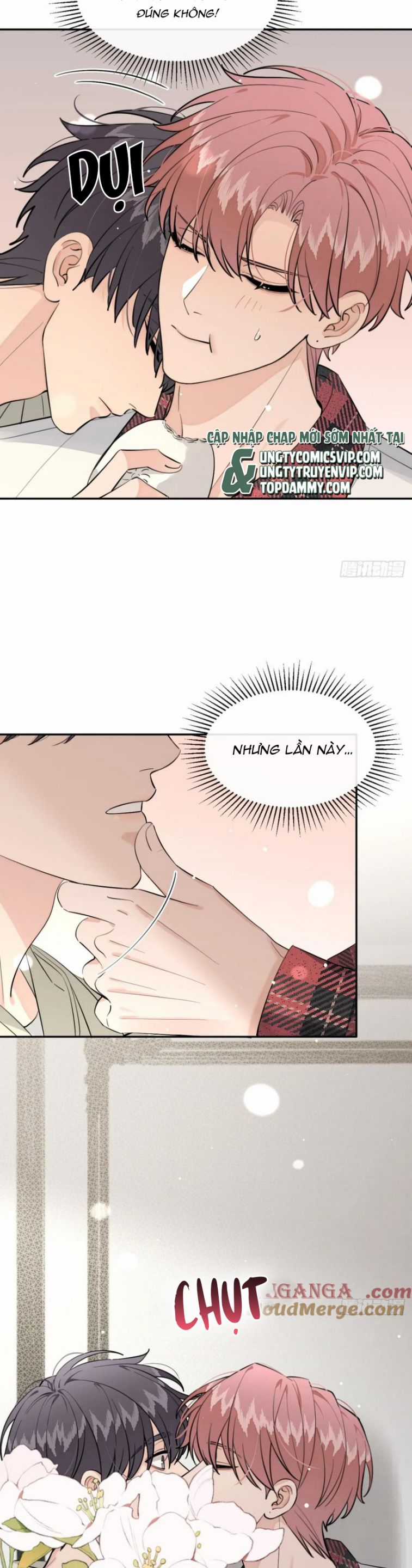 Chó Lớn Bắt Nạt Chủ Chapter 82 trang 11