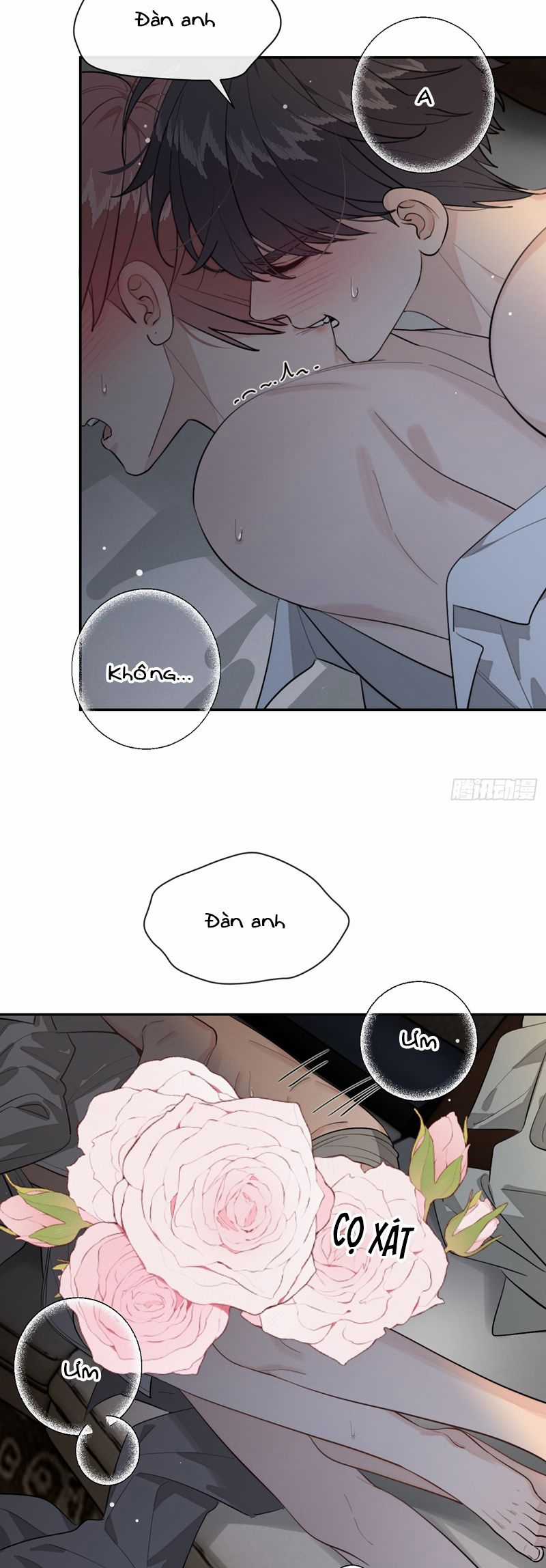 Chó Lớn Bắt Nạt Chủ Chapter 89 trang 14