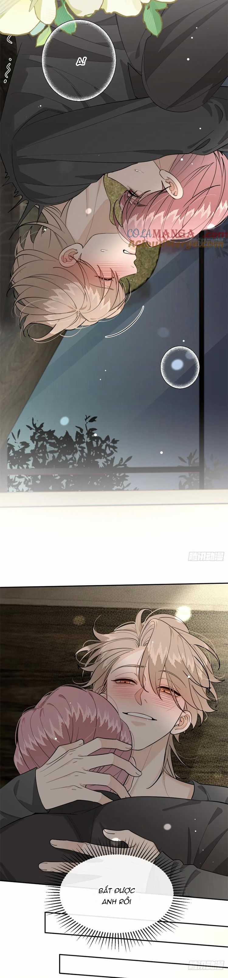 Chó Lớn Bắt Nạt Chủ Chapter 91 trang 11