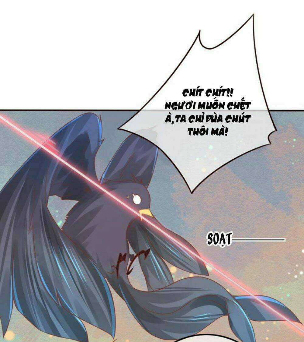 Chọc Nhầm Thượng Thần Băng Lãnh Chapter 13 trang 4