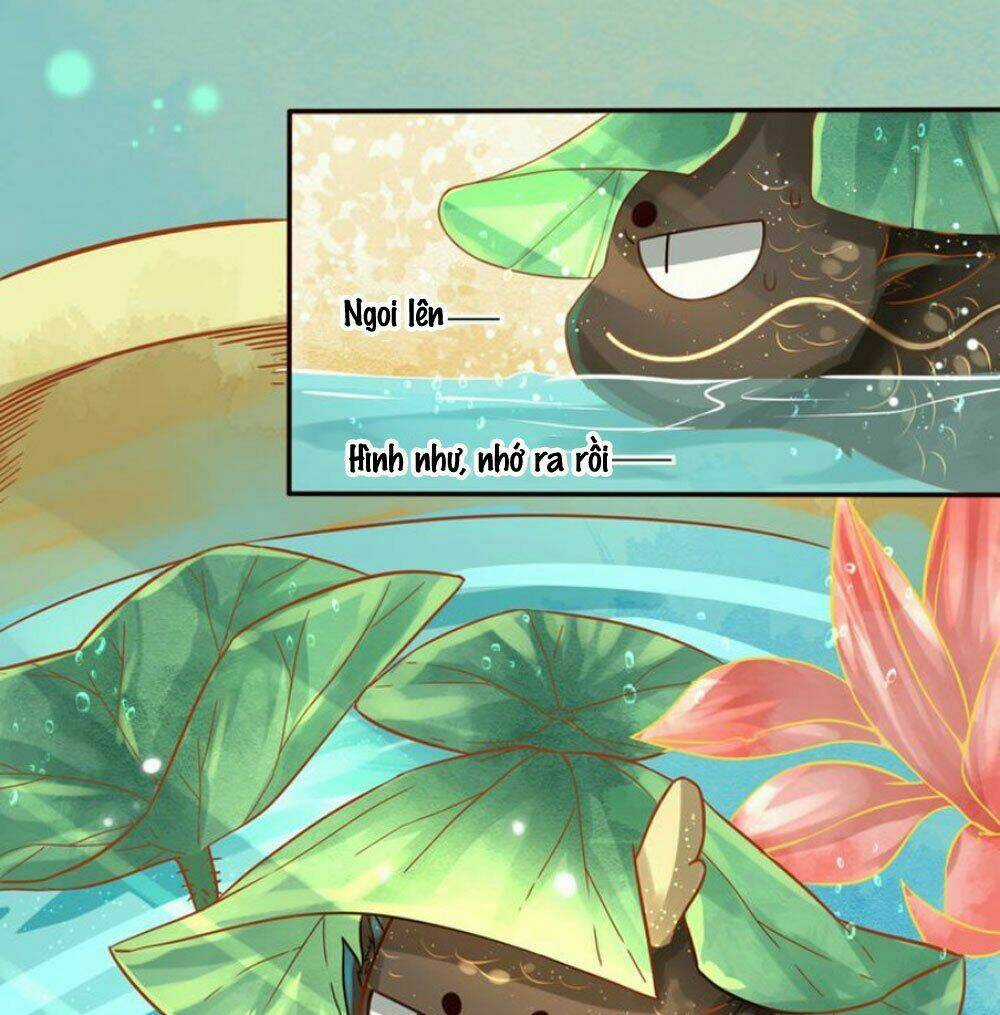 Chọc Nhầm Thượng Thần Băng Lãnh Chapter 21 trang 10