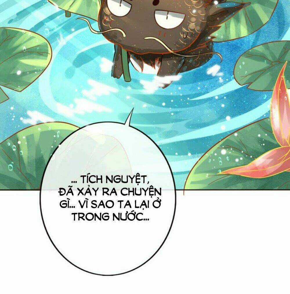 Chọc Nhầm Thượng Thần Băng Lãnh Chapter 21 trang 11