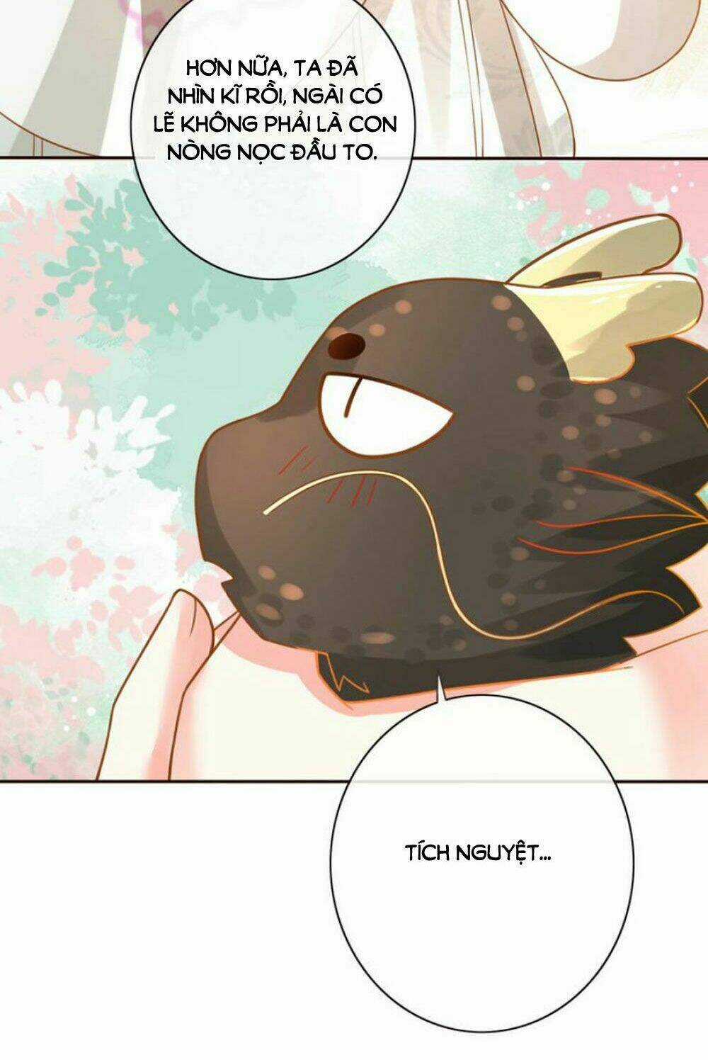 Chọc Nhầm Thượng Thần Băng Lãnh Chapter 22 trang 4