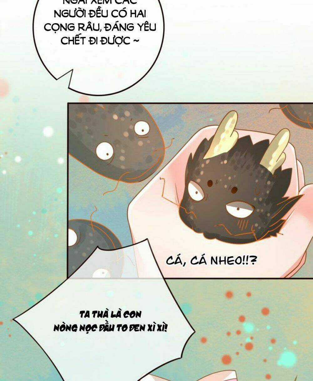 Chọc Nhầm Thượng Thần Băng Lãnh Chapter 22 trang 6