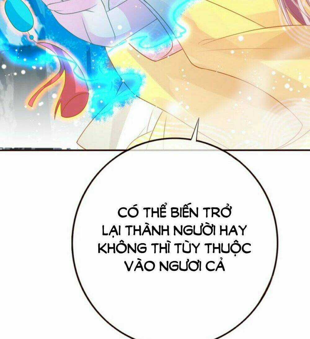 Chọc Nhầm Thượng Thần Băng Lãnh Chapter 24 trang 19