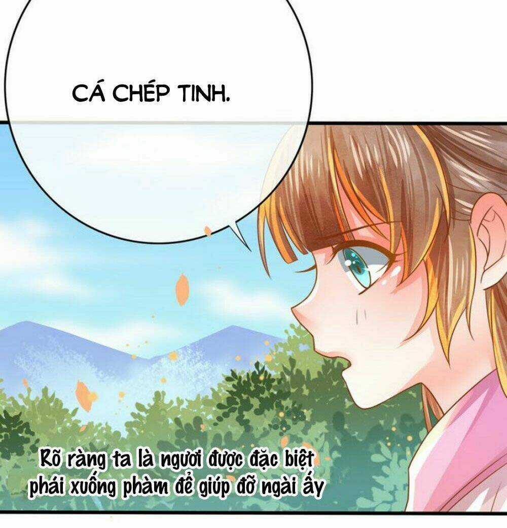 Chọc Nhầm Thượng Thần Băng Lãnh Chapter 6 trang 15