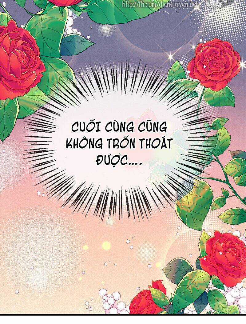 Chọc Phải Điện Hạ Yêu Nghiệt Chapter 64 trang 8