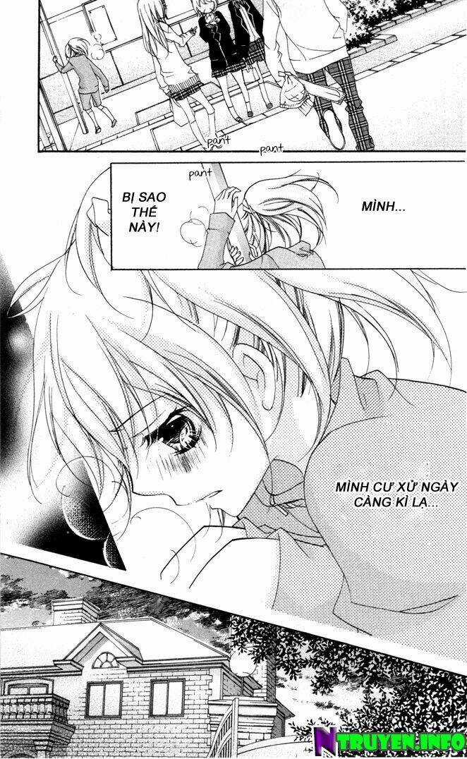 Chocolate Chapter 11 trang 11