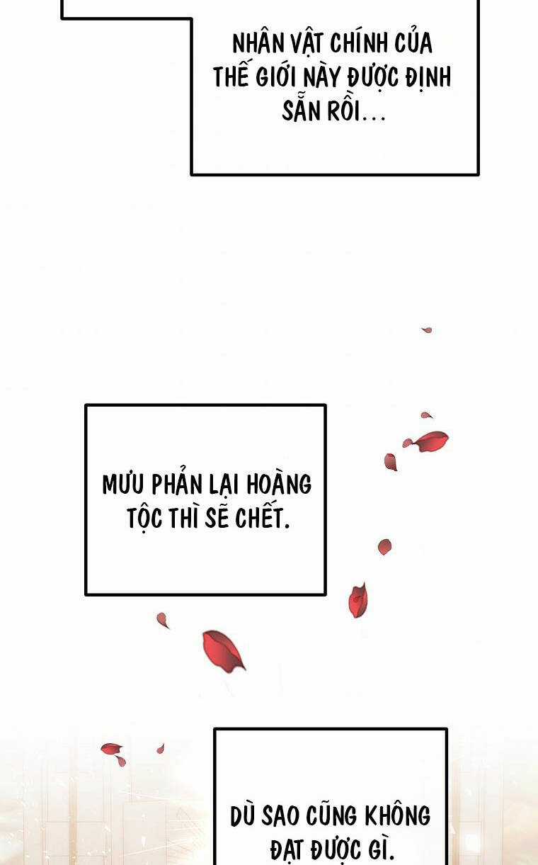 Chồng À, Mình Ly Hôn Đi Chapter 23 trang 8