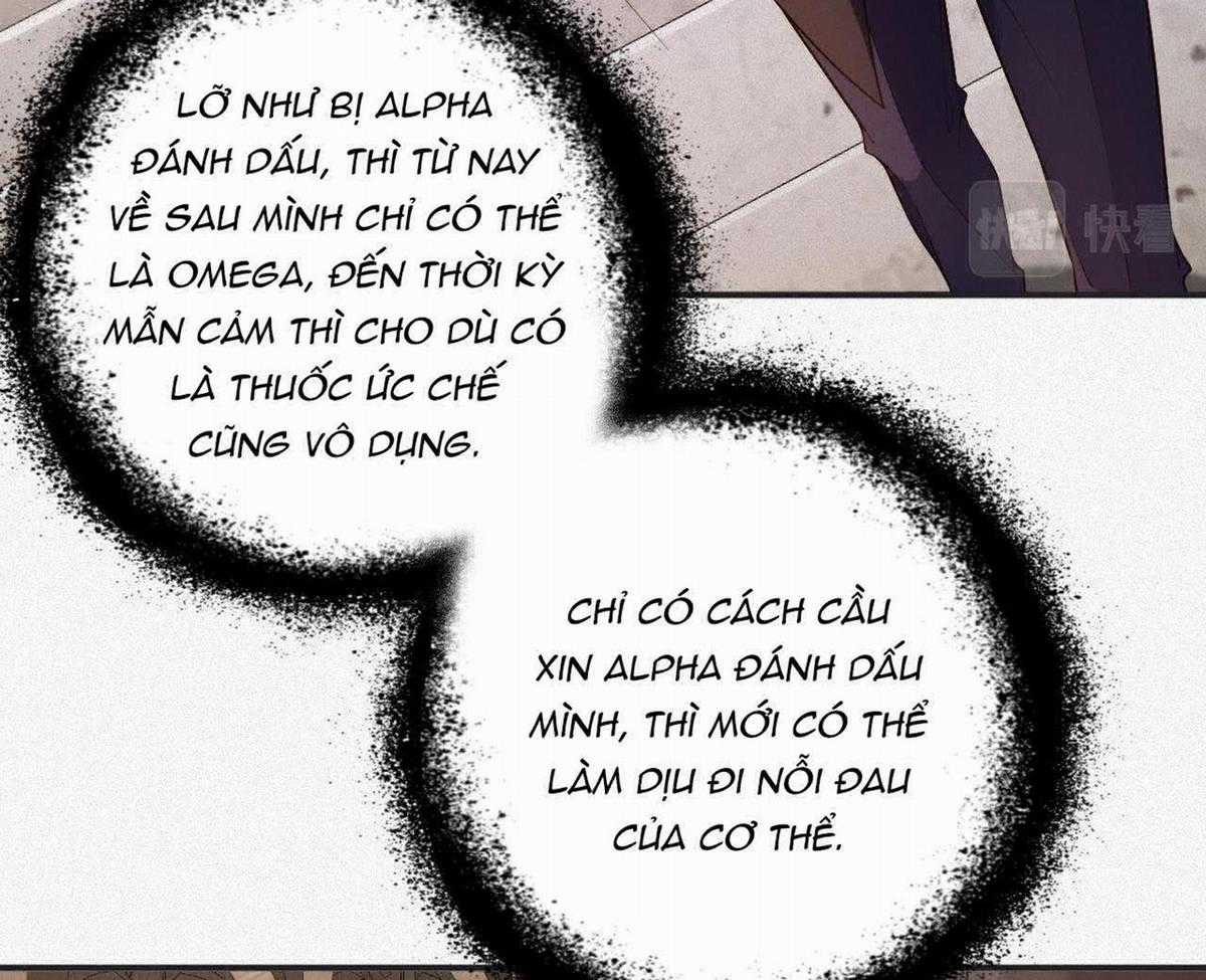 Chồng Cũ Muốn Tái Hôn Lần Nữa Chapter 12 trang 21