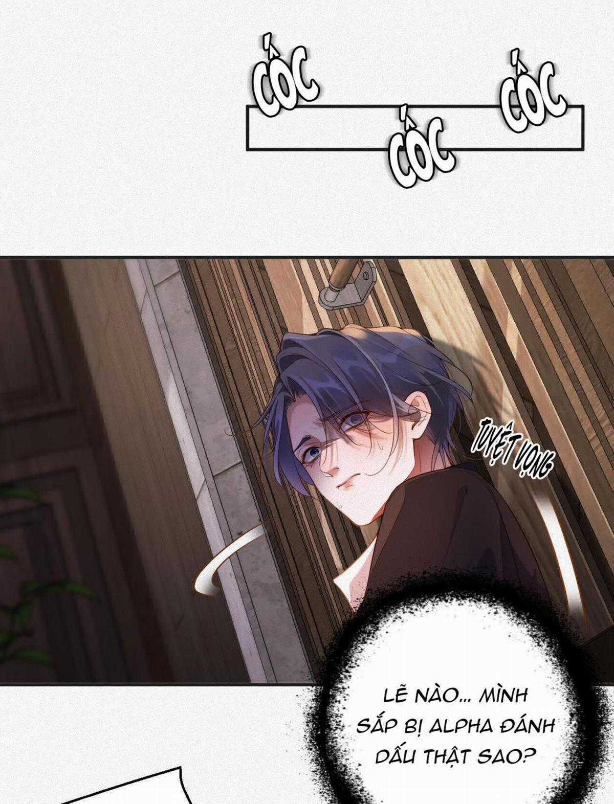 Chồng Cũ Muốn Tái Hôn Lần Nữa Chapter 12 trang 26