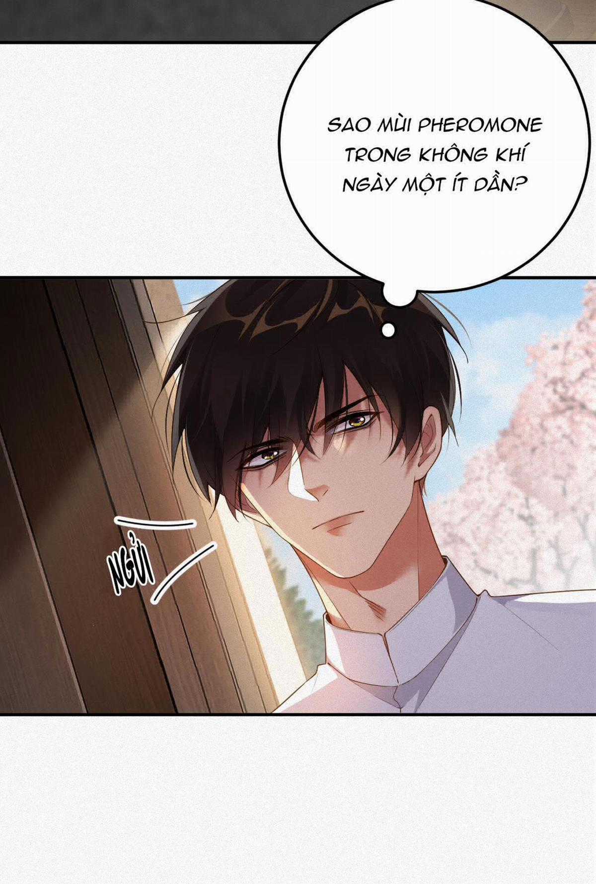 Chồng Cũ Muốn Tái Hôn Lần Nữa Chapter 12 trang 39