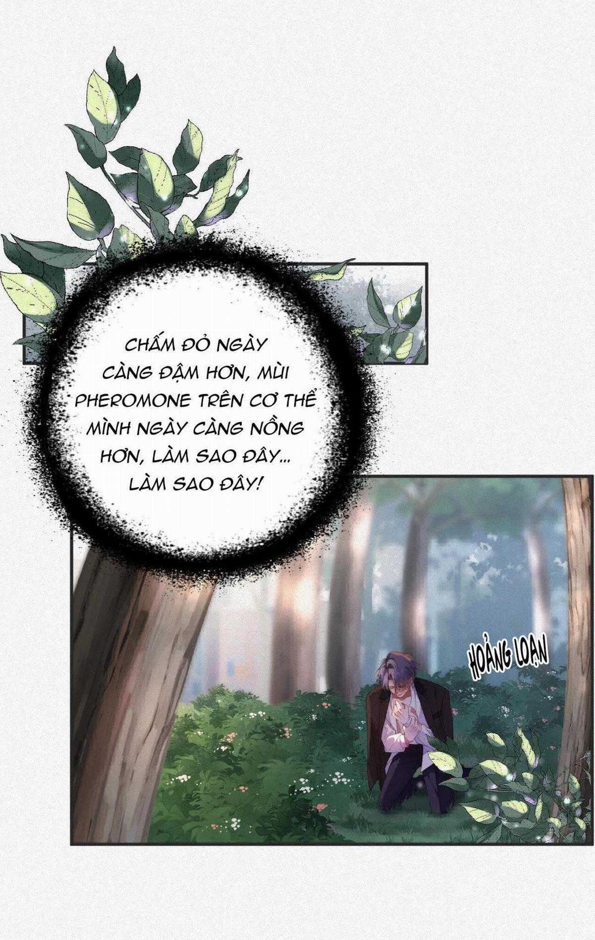 Chồng Cũ Muốn Tái Hôn Lần Nữa Chapter 12 trang 5