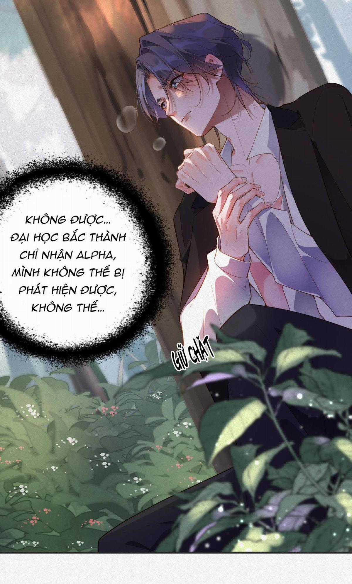 Chồng Cũ Muốn Tái Hôn Lần Nữa Chapter 12 trang 7