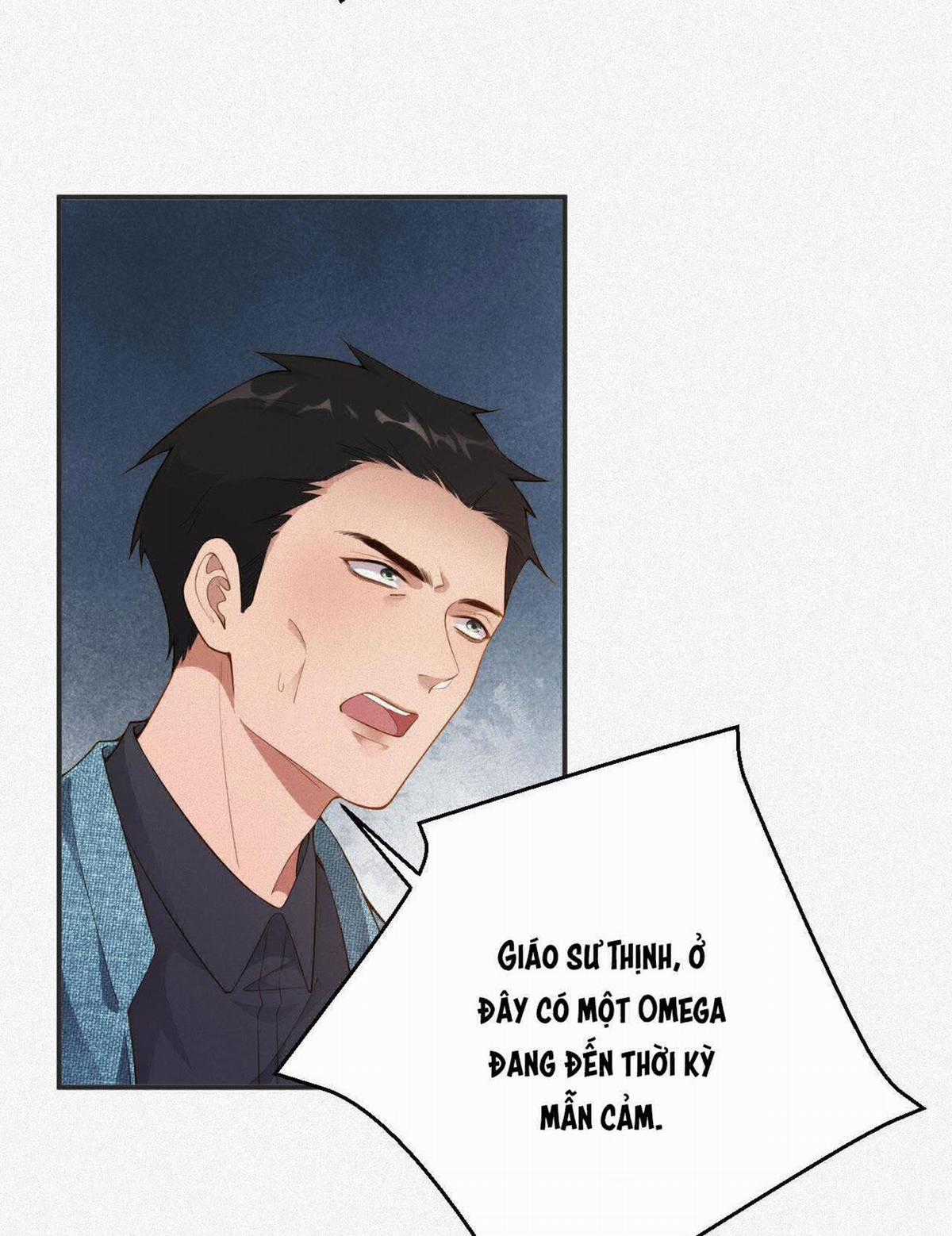 Chồng Cũ Muốn Tái Hôn Lần Nữa Chapter 13 trang 33