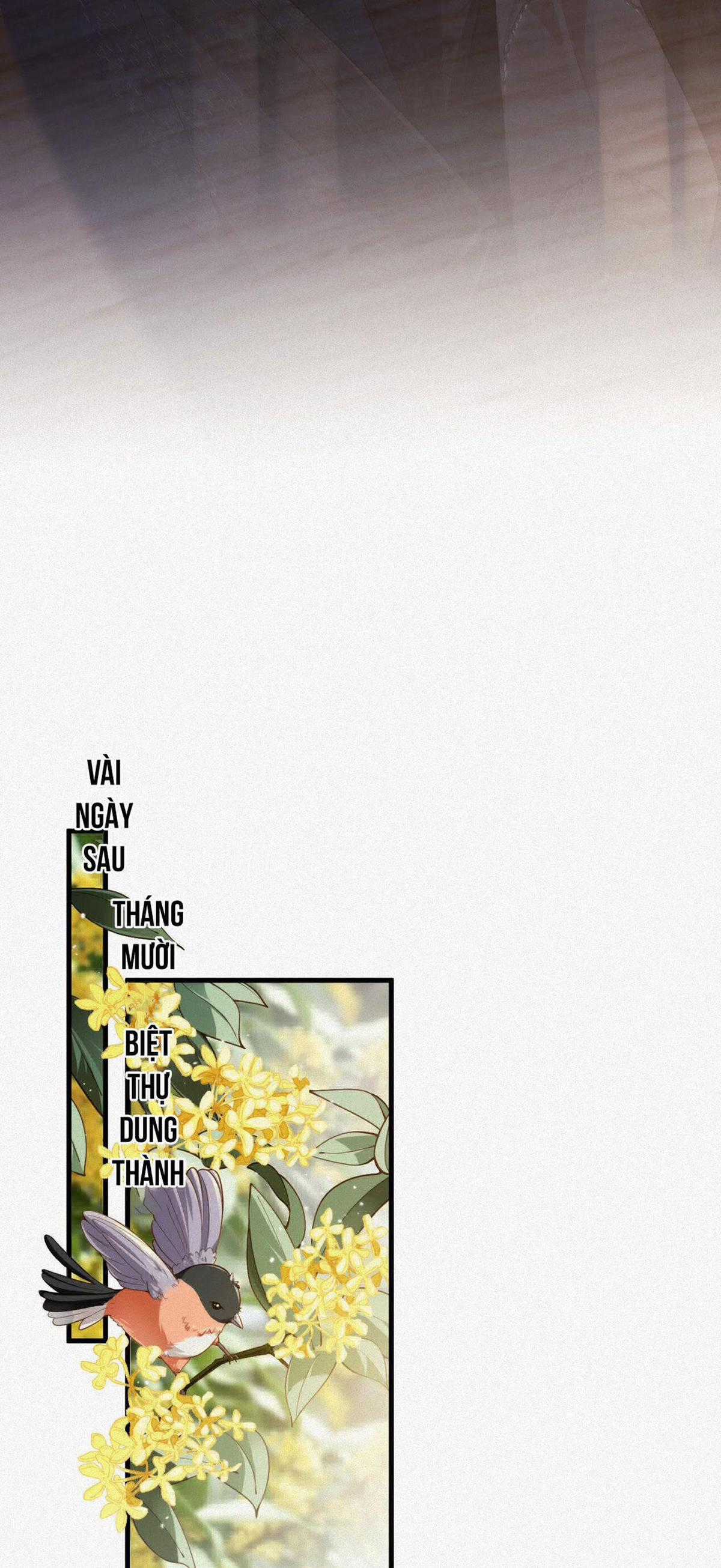 Chồng Cũ Muốn Tái Hôn Lần Nữa Chapter 24 trang 34