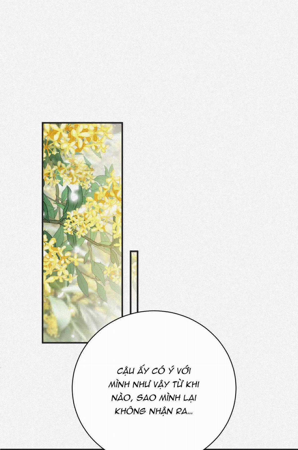 Chồng Cũ Muốn Tái Hôn Lần Nữa Chapter 25 trang 2