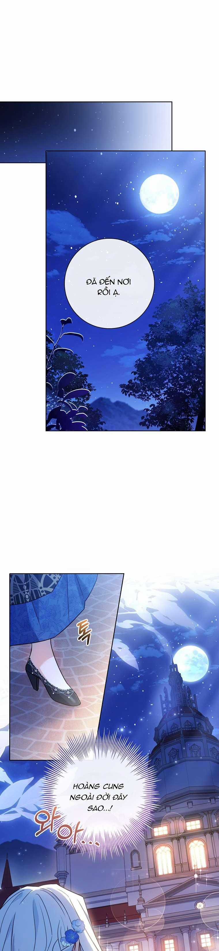 Chồng Ơi, Tại Sao Chúng Ta Không Thể Ly Hôn? Chapter 5 trang 0
