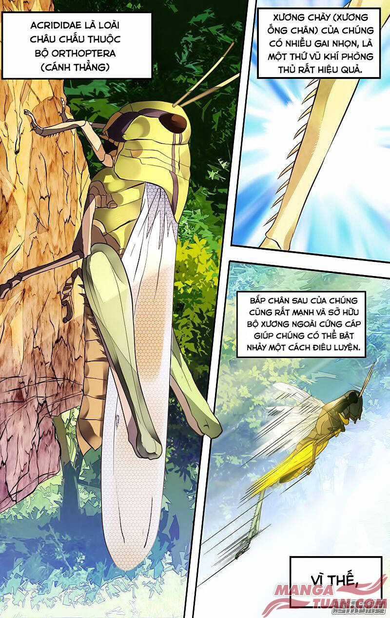 Chong Sheng - Resurrection Chapter 3 trang 5