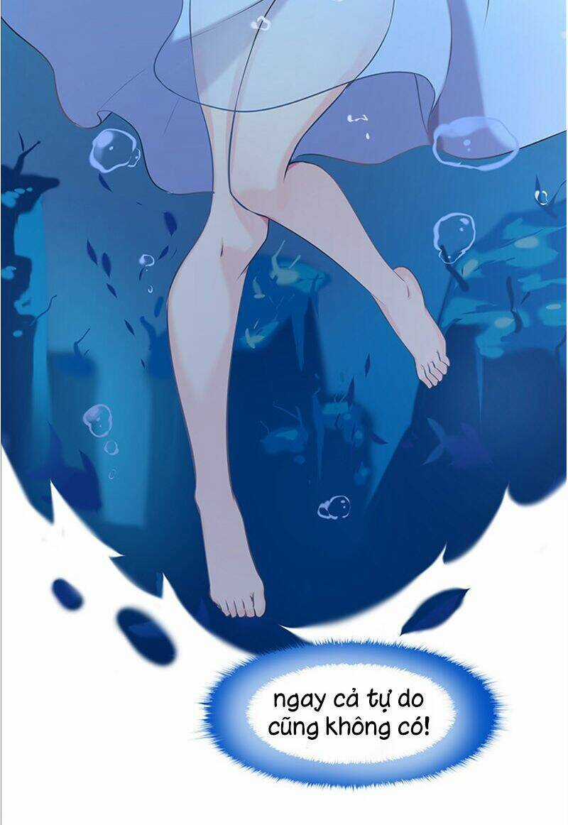 Chồng Tạm Thời, Chơi Thần Bí Chapter 8 trang 16